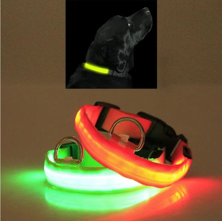 Illuminate Your Pet’s Safety with the LED PET Safety Halo Style Collar